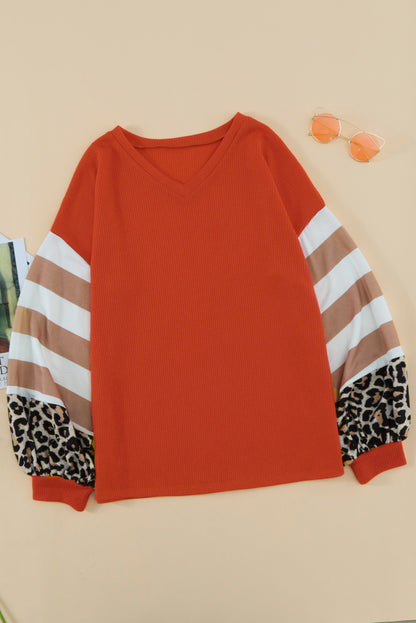 Striped and Leopard Print Color Block V Neck Long Sleeve Top