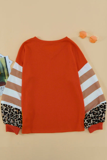 Striped and Leopard Print Color Block V Neck Long Sleeve Top