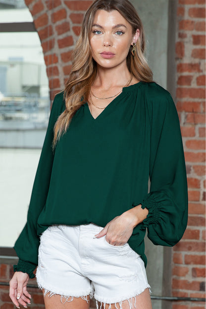 Rose Pleated V Neck Puffy Sleeve Blouse